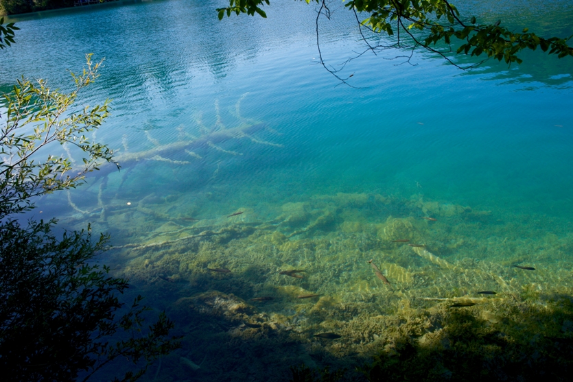 Plitvice-Lakes, Croatia