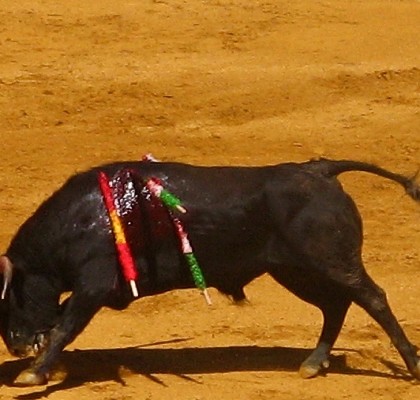 Bullfight in Madrid (Plaza de Toros de Las Ventas)