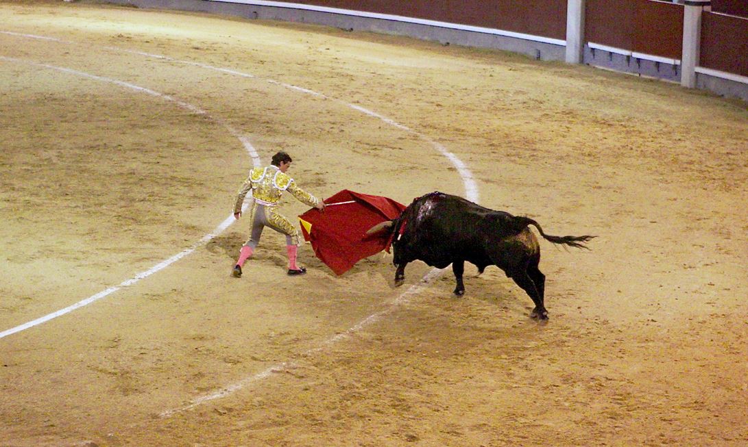 The matador holds the red cape. For the lesser bullfighters, magenta