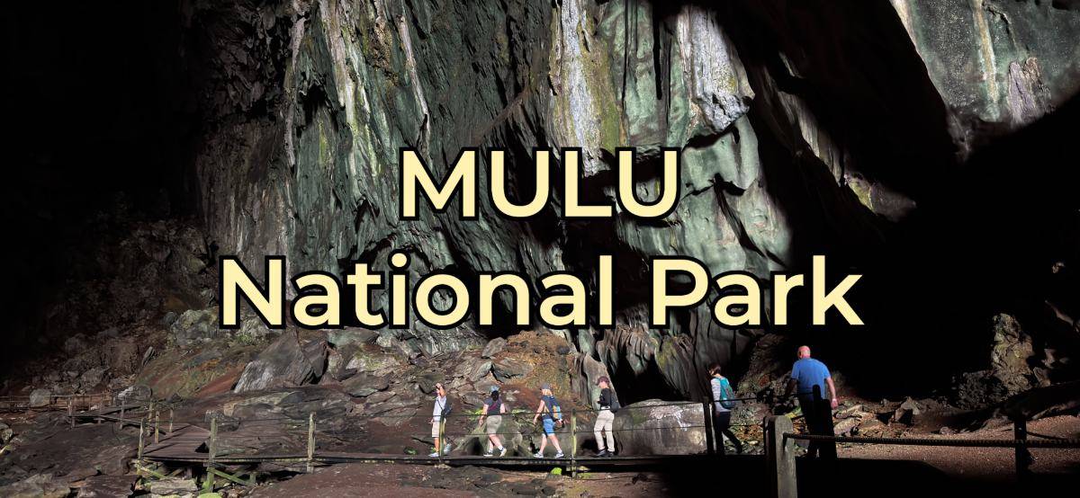 4-Day Forest & Cave Adventure in Gunung Mulu National Park