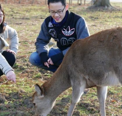 Day 5: Driving from Shingu to Kyoto via Nara