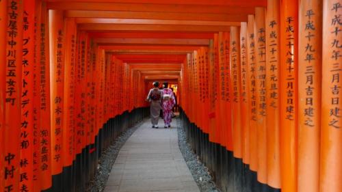 Start of the hike - through the torii gates of fushimi inari