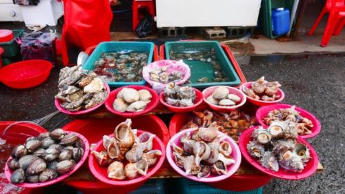 Varieties of shellfish Gijang Crab Market