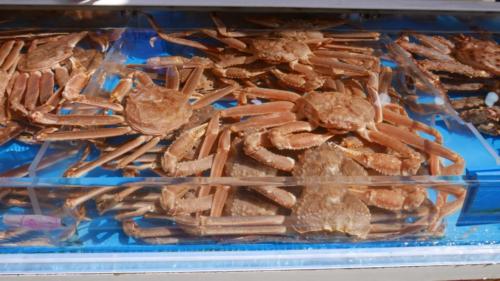 Live King crabs at Gijang Crab Market